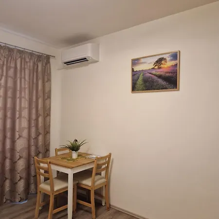Fully Renovated By Andel Metro *